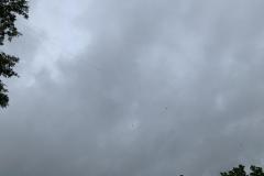 GOTA dipole against a dark FD sky