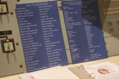 Words and phrases that don't translate.