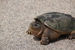 Hmm, what is this all about?