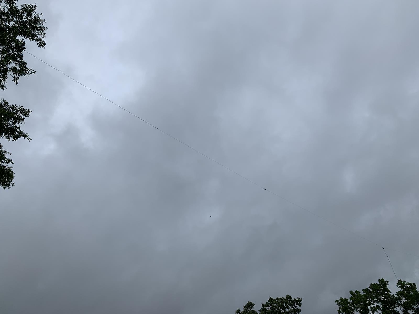 Overcast sky with a diagonal power line and treetops along the edges.